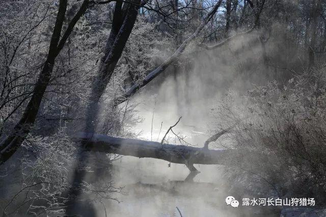 心中有群众，工作有方法！闵行公安举行首届“闵警之星”表彰展示活动